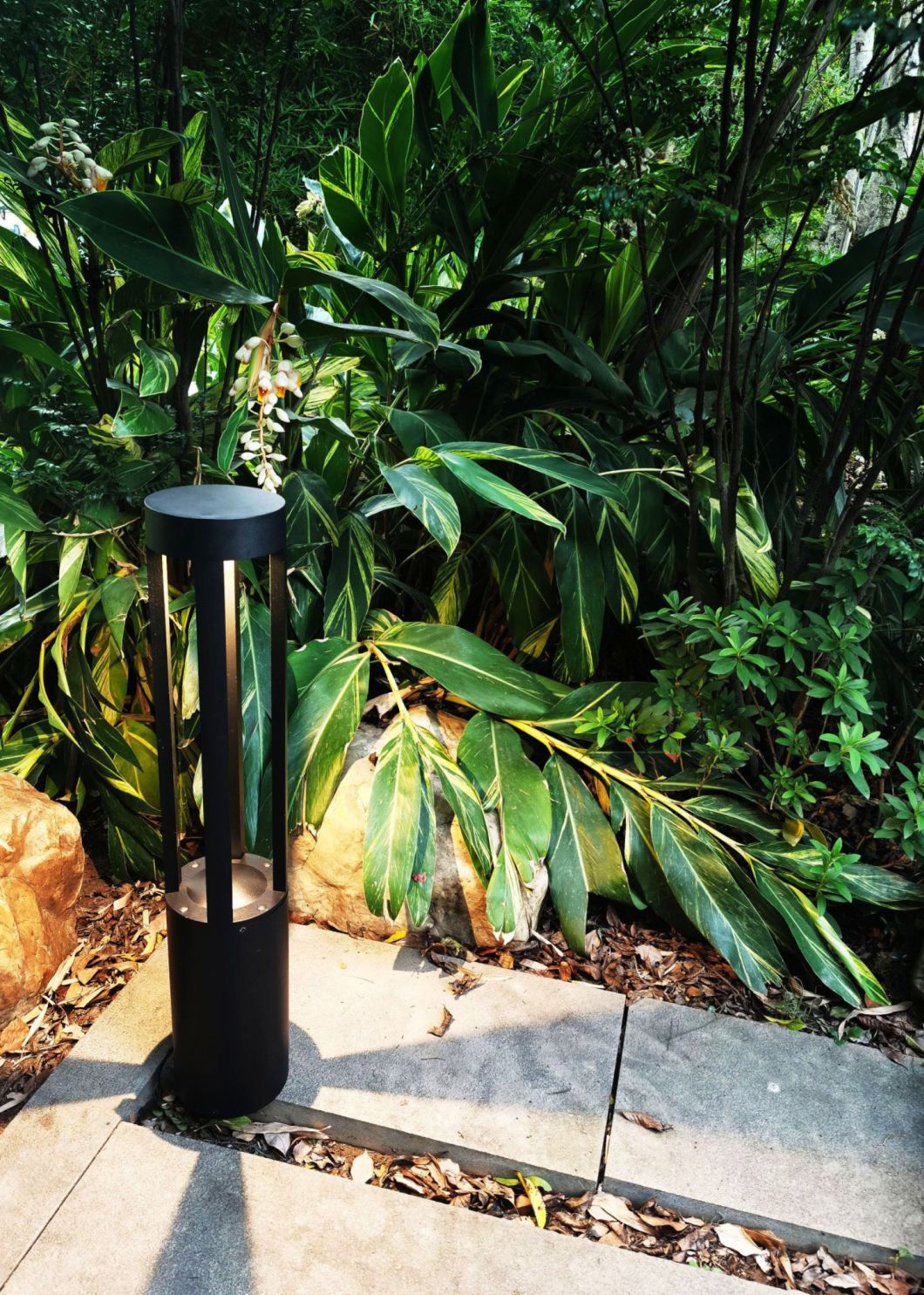 إنارة الحدائق بالطاقة الشمسية