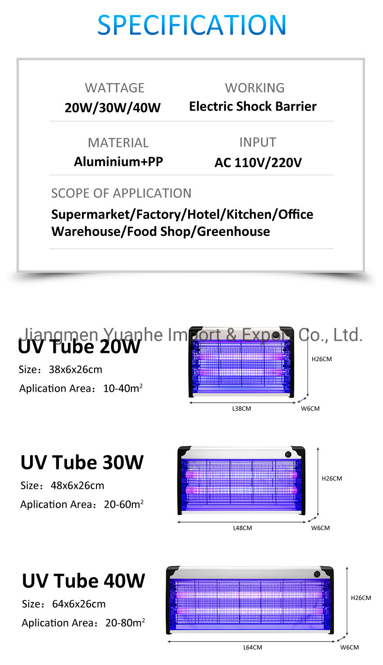أضواء علة في الهواء الطلق