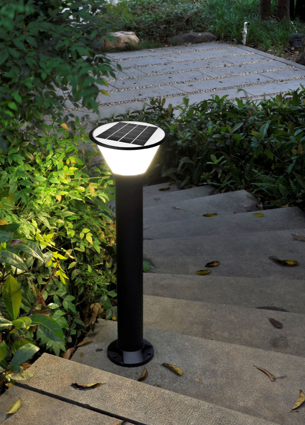 ضوء الحديقة الشمسية 