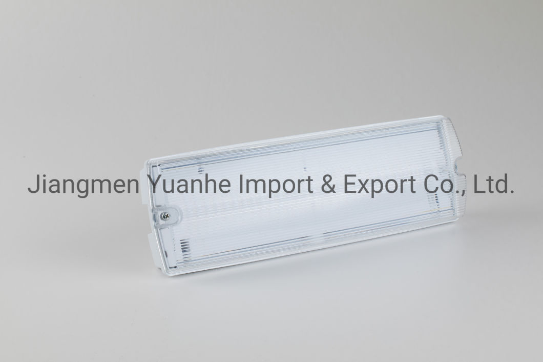 luz roja del campamento