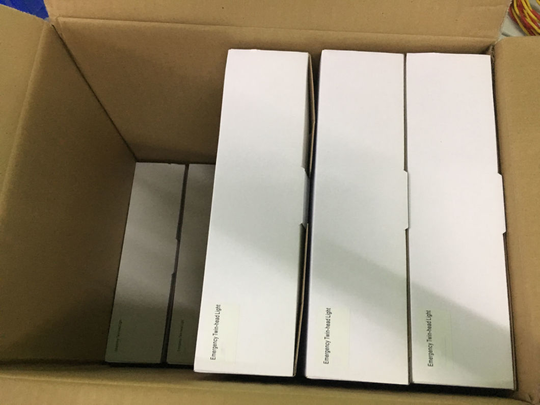 techo de iluminaci&oacute;n de emergencia